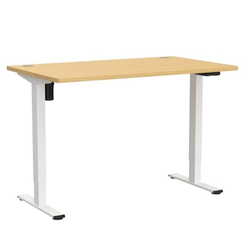 FLEXISPOT Essential Electric Standing Desk Height Adjustable 100 * 60cm Sit Stand Desk for Home Office (White Frame+ Maple Desktop)