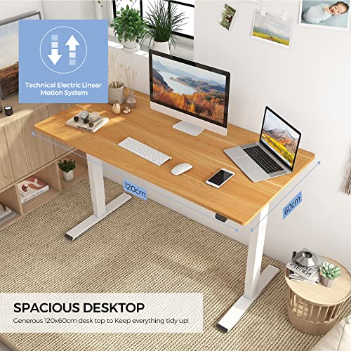 FLEXISPOT Essential Electric Standing Desk Height Adjustable 100 * 60cm Sit Stand Desk for Home Office (White Frame+ Maple Desktop)